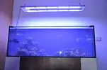 [TodoMarino.com] Acuario Marino 1.0