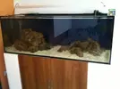 [TodoMarino.com] Acuario Marino 1.0