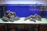 [TodoMarino.com] Acuario Marino 1.0