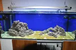 [TodoMarino.com] Acuario Marino 1.0