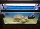 [TodoMarino.com] mi nuevo viejo acuario