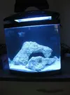 [TodoMarino.com] Acuario Diegosevilla