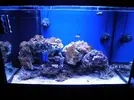 [TodoMarino.com] Proyecto de Reef de 200 l.