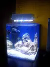[TodoMarino.com] Mi primera pantalla led y necesito ayuda