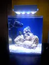 [TodoMarino.com] Mi primera pantalla led y necesito ayuda