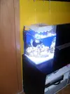 [TodoMarino.com] Mi primera pantalla led y necesito ayuda