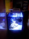 [TodoMarino.com] Mi primera pantalla led y necesito ayuda