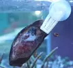 [TodoMarino.com] Algunas de las maravillas en stock...............