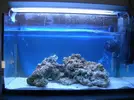 [TodoMarino.com] Mi nano 60L AYUDA