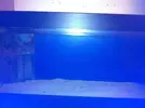 [TodoMarino.com] Mi proyecto de 264 l + Sump