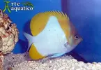 [TodoMarino.com] Nueva llegada...