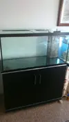 [TodoMarino.com] Ampliación de 100l a 200 l+100 sump. PROBLEMAS.