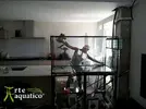 [TodoMarino.com] Acuarios a Medida