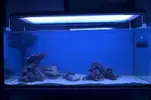 [TodoMarino.com] Reef E.M.R ( EMOTIONAL MARINE REEF )