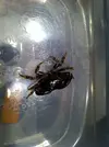 [TodoMarino.com] Cazador cazado
