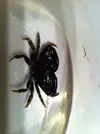 [TodoMarino.com] Cazador cazado