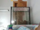 [TodoMarino.com] Tempranilloreef  (adoptado )