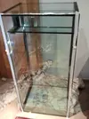 [TodoMarino.com] Tempranilloreef  (adoptado )
