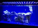 [TodoMarino.com] Pantalla led 120cm Poseidon