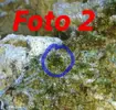 [TodoMarino.com] Que es esto?