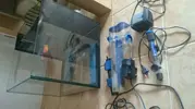 [TodoMarino.com] Acuario marino tipo cubo con sump trasero completo