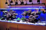 [TodoMarino.com] Ampliación de 500 a 1000l+sump paso a paso