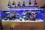 [TodoMarino.com] Ampliación de 500 a 1000l+sump paso a paso