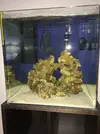 [TodoMarino.com] Os presento mi nano reef