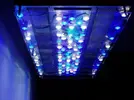 [TodoMarino.com] Vendo urna 200l + sump + mesa + pantalla casera