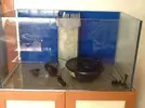 [TodoMarino.com] Vendo urna 200l + sump + mesa + pantalla casera