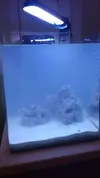 [TodoMarino.com] Empezando en el marino