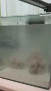 [TodoMarino.com] Empezando en el marino