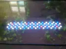 [TodoMarino.com] pack NEMO ligh aquafrech mas tunze 6025