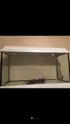 [TodoMarino.com] acuario 100 litros