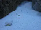 [TodoMarino.com] Empezando en el marino