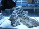 [TodoMarino.com] Empezando en el marino