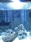 [TodoMarino.com] Empezando en el marino