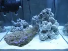 [TodoMarino.com] Empezando en el marino