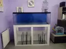 [TodoMarino.com] Azulón Reef 375 litros