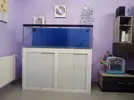 [TodoMarino.com] Azulón Reef 375 litros