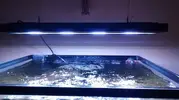[TodoMarino.com] Sondeo venta pantalla vertex illumina 360