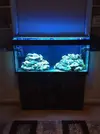 [TodoMarino.com] Vendo Acuario Completo 240 Litros