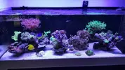 [TodoMarino.com] Vuestros aquascaping