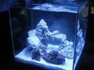 [TodoMarino.com] Vuestros aquascaping