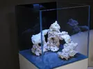 [TodoMarino.com] Vuestros aquascaping