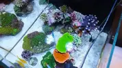 [TodoMarino.com] Vuestros aquascaping