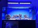 [TodoMarino.com] Vuestros aquascaping