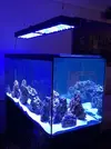 [TodoMarino.com] Vuestros aquascaping
