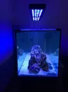 [TodoMarino.com] Vuestros aquascaping