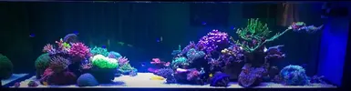 [TodoMarino.com] Vuestros aquascaping